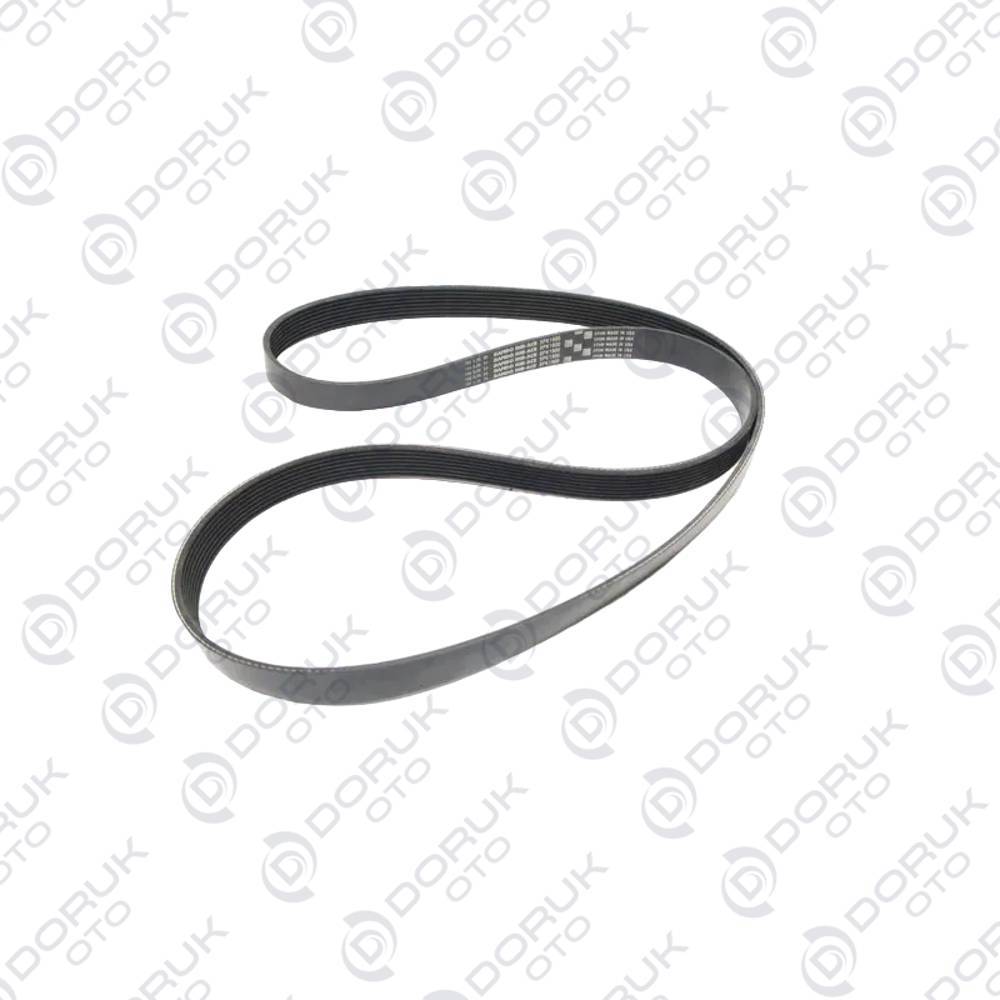 03193 DAF LF Serisi V Kayışı 1943456